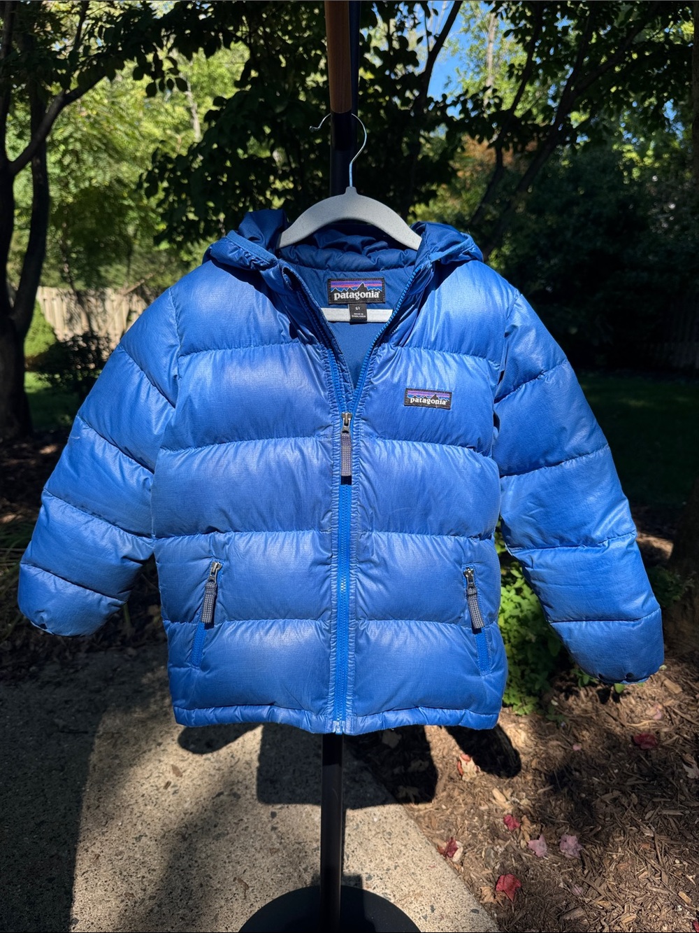 Patagonia Kids Bright Blue Hooded Puffer Jacket